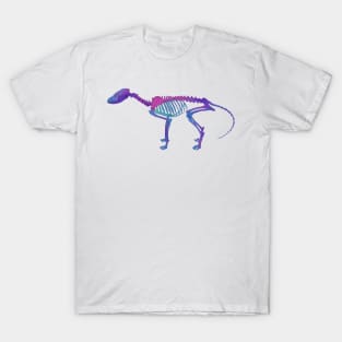 Fox Skeleton Diaphonized Specimen T-Shirt